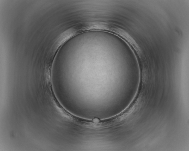 X0000112521241200908171347