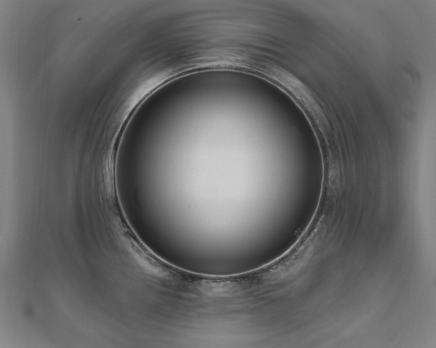 X0000112521242200908171347