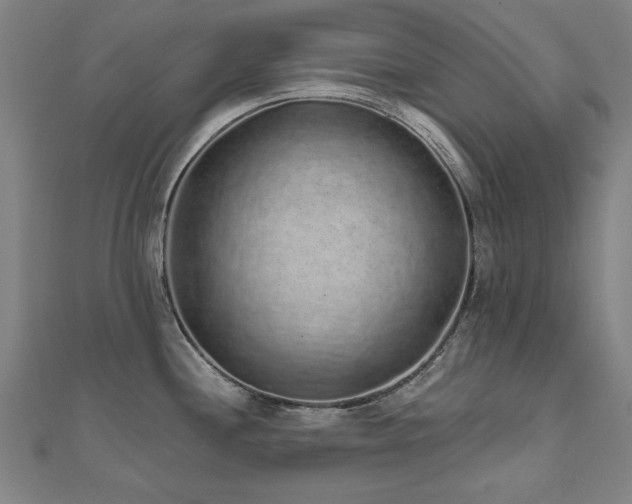 X0000112521244200908171348