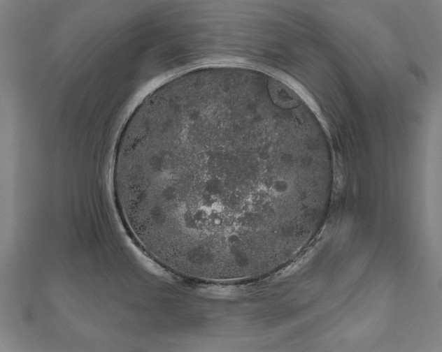 X0000112521245200908171348