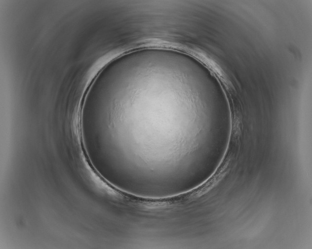 X0000112521247200908171348