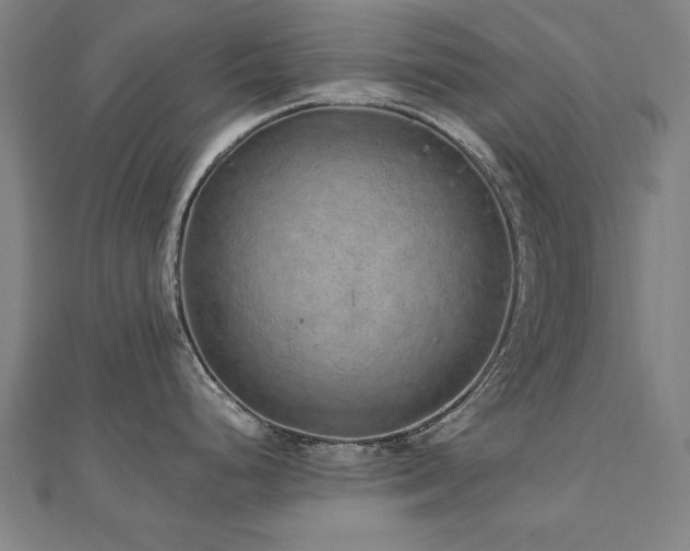 X0000112521248200908171348