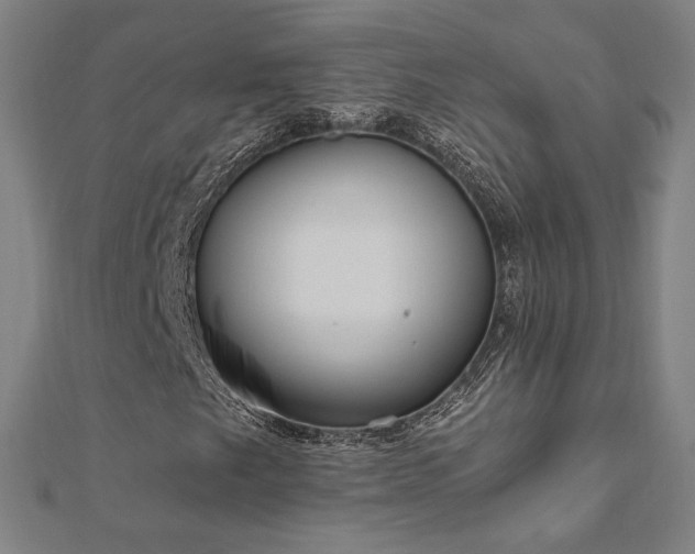 X0000112521249200908171347