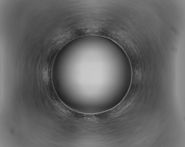X0000112521250200908171347