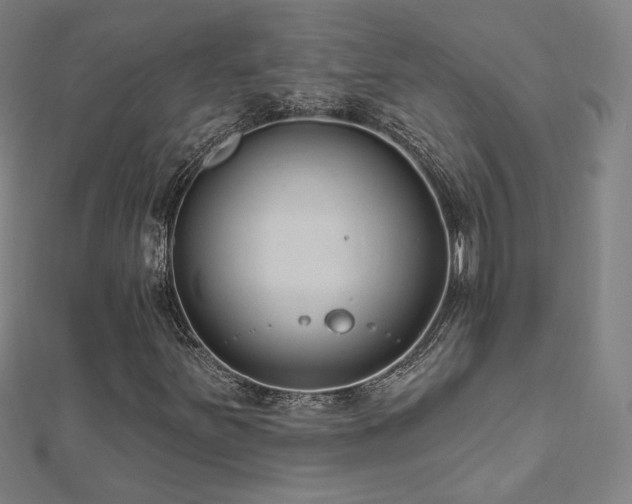 X0000112521251200908171347