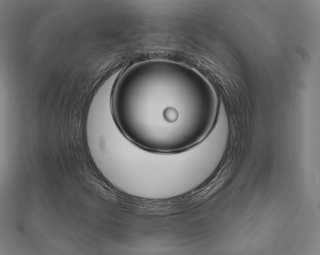 X0000112521252200908171347