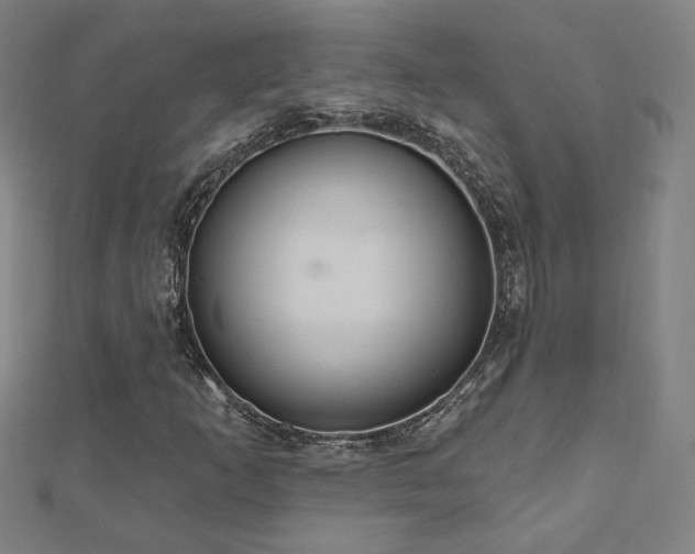 X0000112521253200908171347