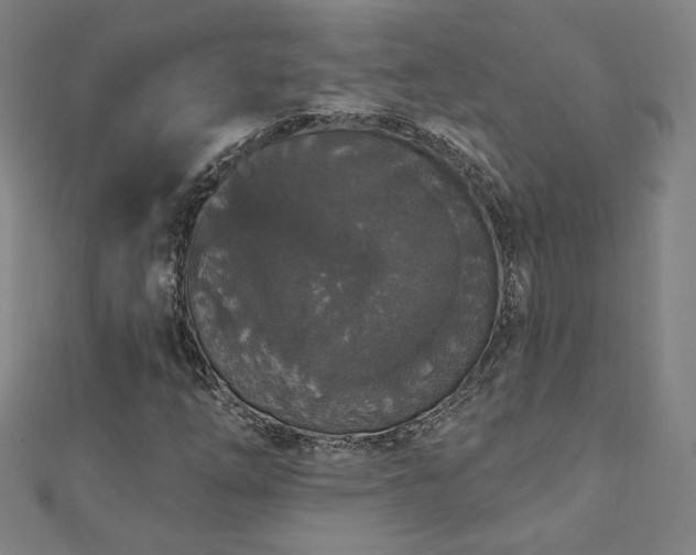 X0000112521254200908171347