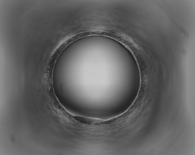 X0000112521256200908171347