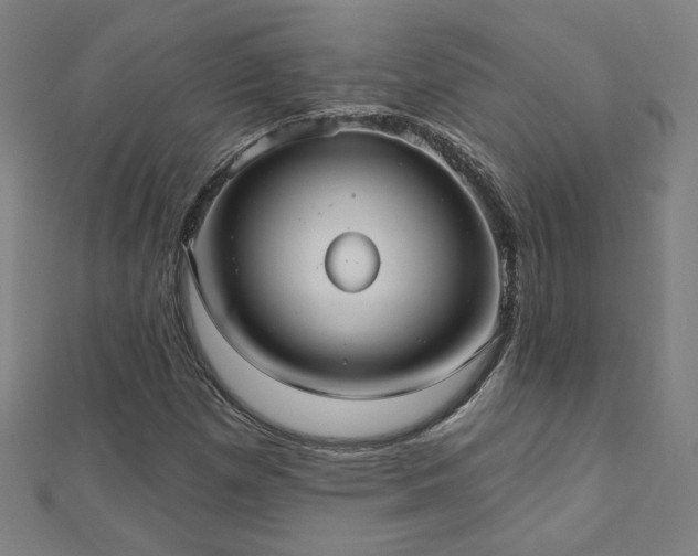 X0000112521257200908171347