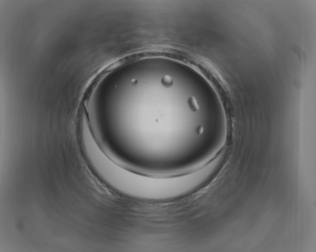 X0000112521260200908171347