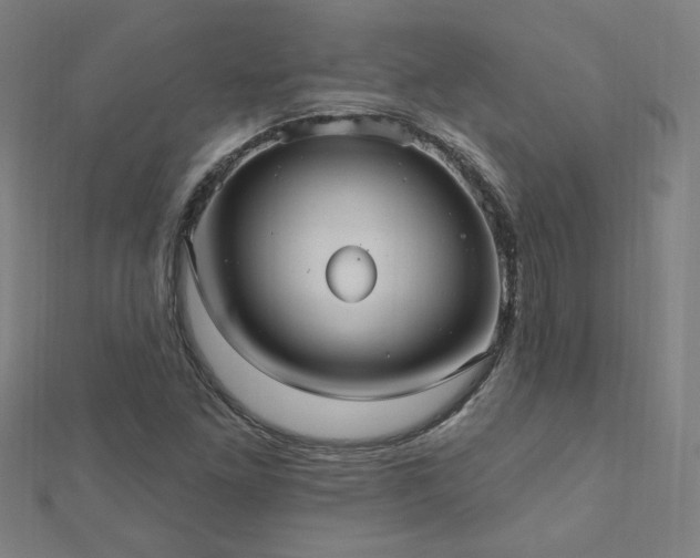 X0000112521261200908171347