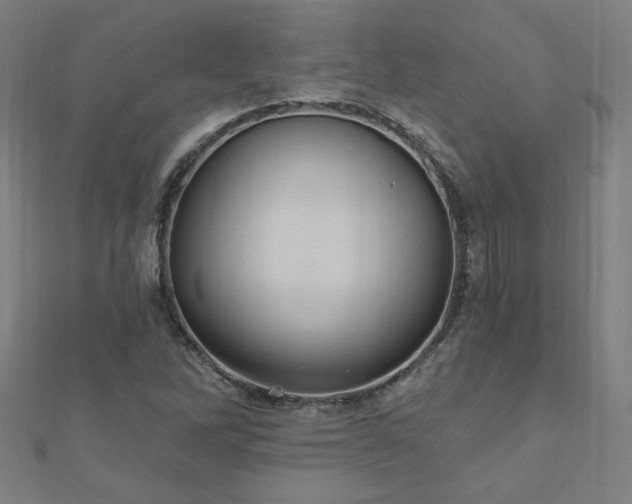 X0000112521262200908171347