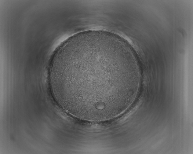 X0000112521263200908171347