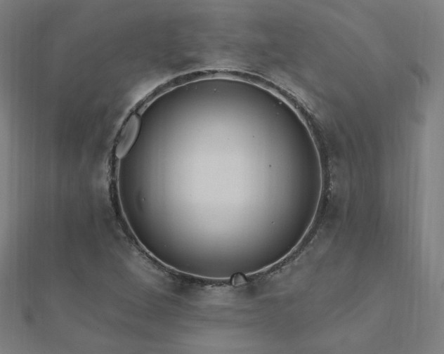 X0000112521264200908171347