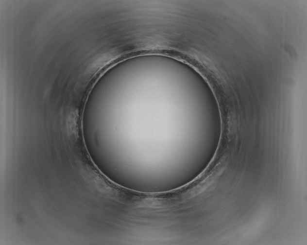X0000112521265200908171347