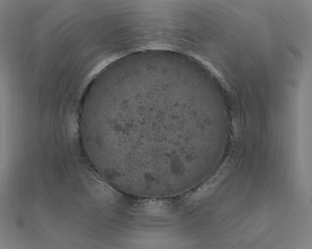 X0000112521266200908171347