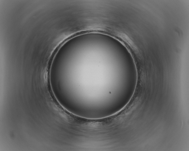 X0000112521268200908171347