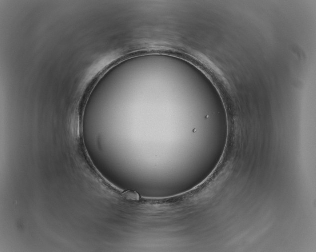 X0000112521269200908171347