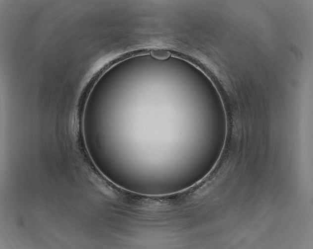 X0000112521270200908171347