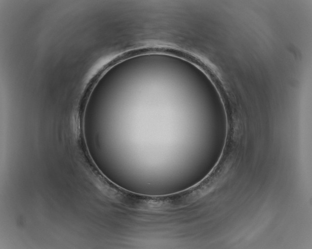 X0000112521271200908171347