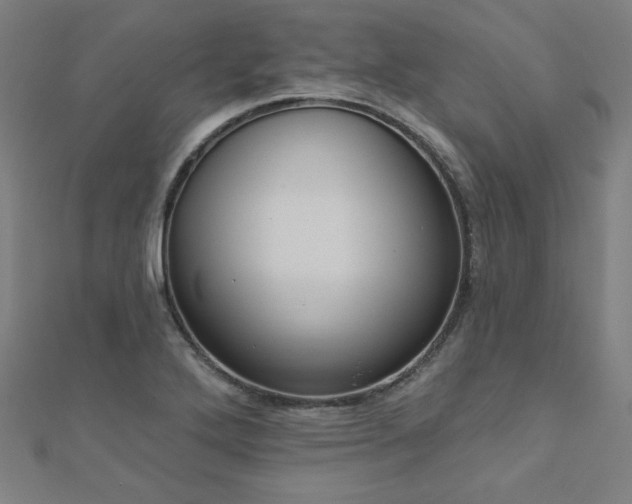X0000112521272200908171347