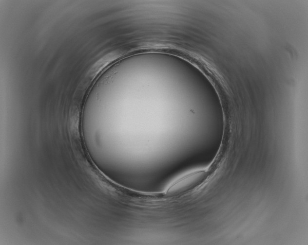 X0000112521273200908171347