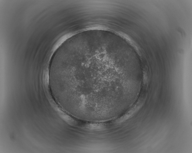 X0000112521274200908171347