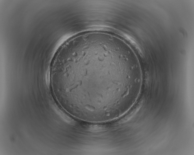 X0000112521275200908171347