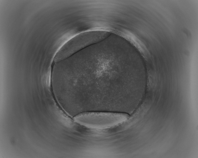 X0000112521276200908171347