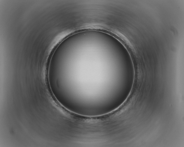 X0000112521277200908171347