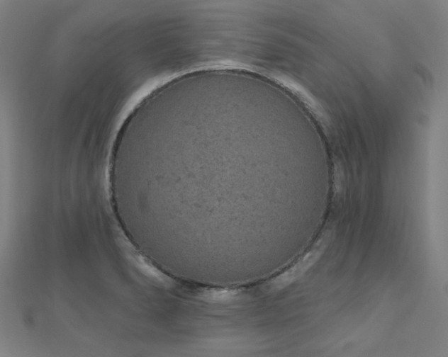 X0000112521278200908171347