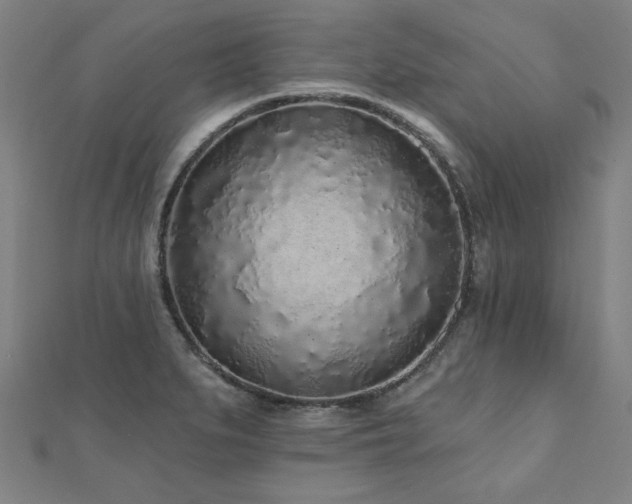 X0000112521279200908171347