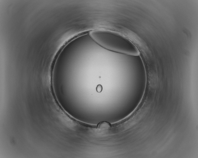 X0000112521280200908171347