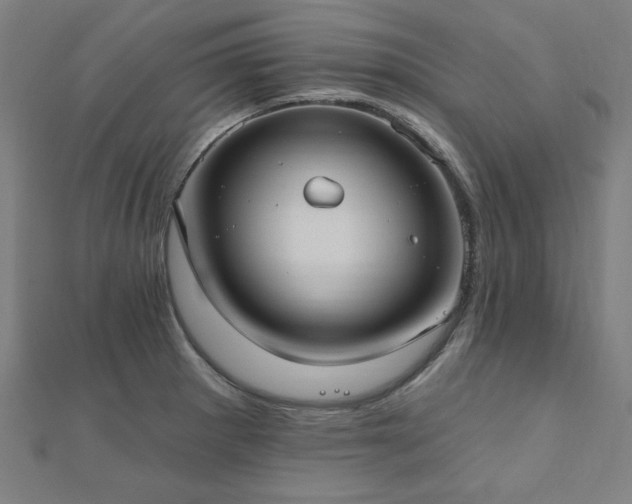 X0000112521281200908171347