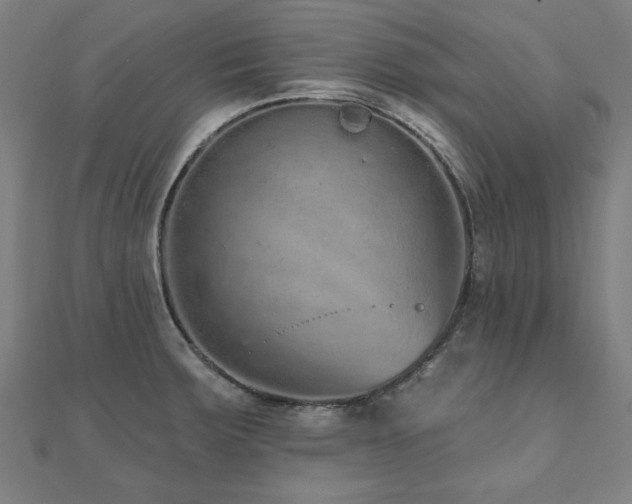 X0000112521283200908171347