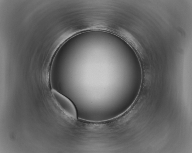 X0000112521284200908171346