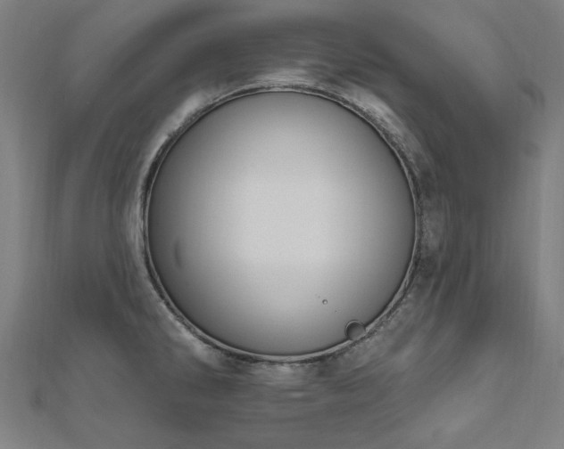 X0000112521286200908171346
