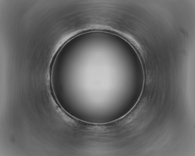 X0000112521287200908171346