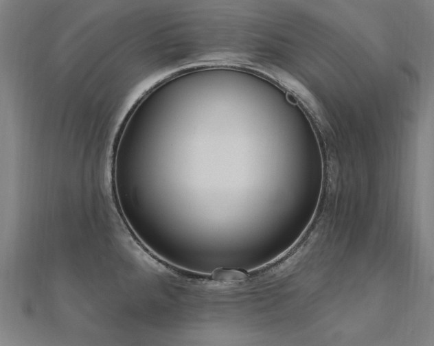 X0000112521288200908171346