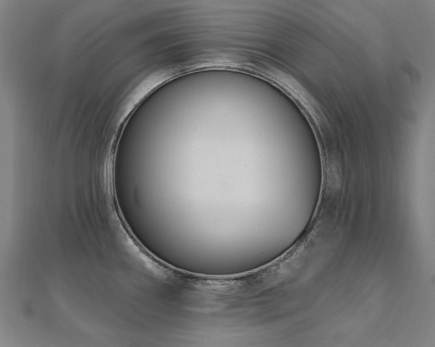 X0000112521290200908171346