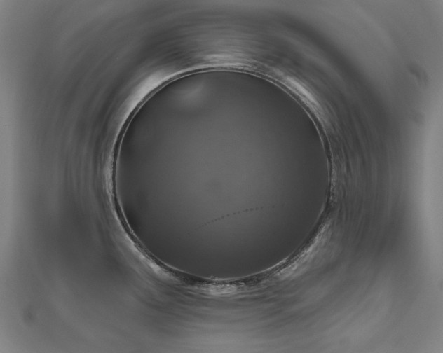 X0000112521291200908171346