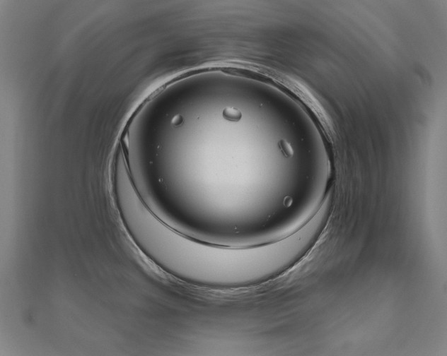 X0000112521292200908171346