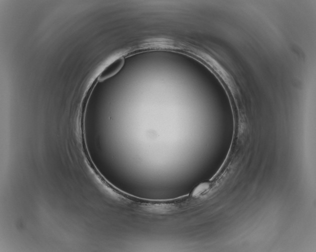 X0000112521293200908171346