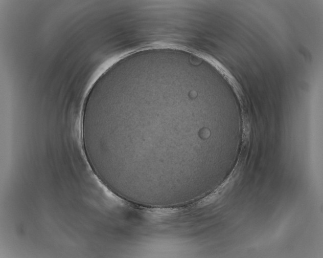 X0000112521294200908171346