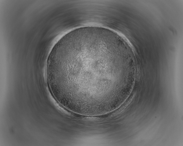X0000112521295200908171346