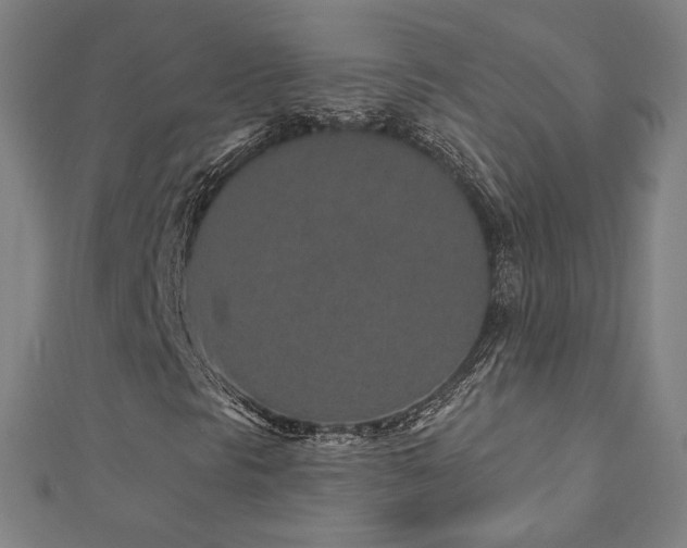 X0000112521297200908171346