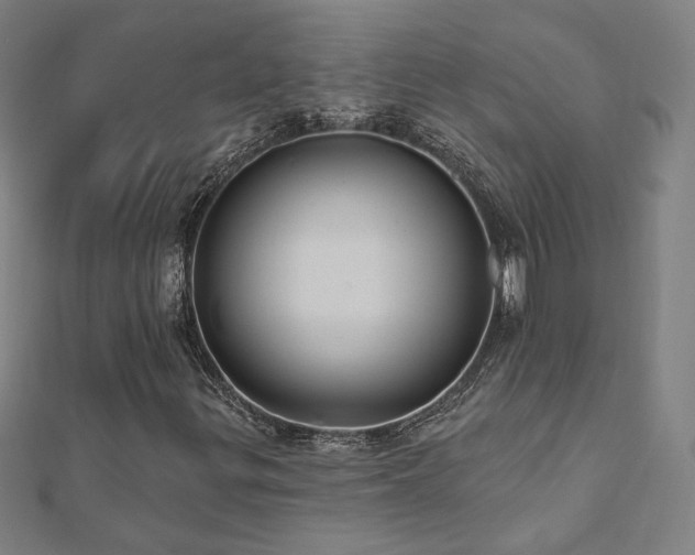 X0000112521299200908171346