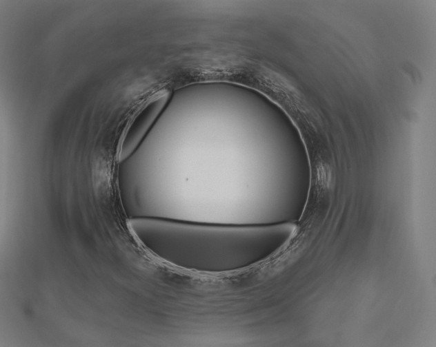 X0000112521300200908171346