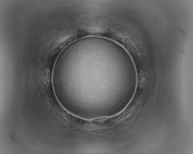 X0000112521301200908171346
